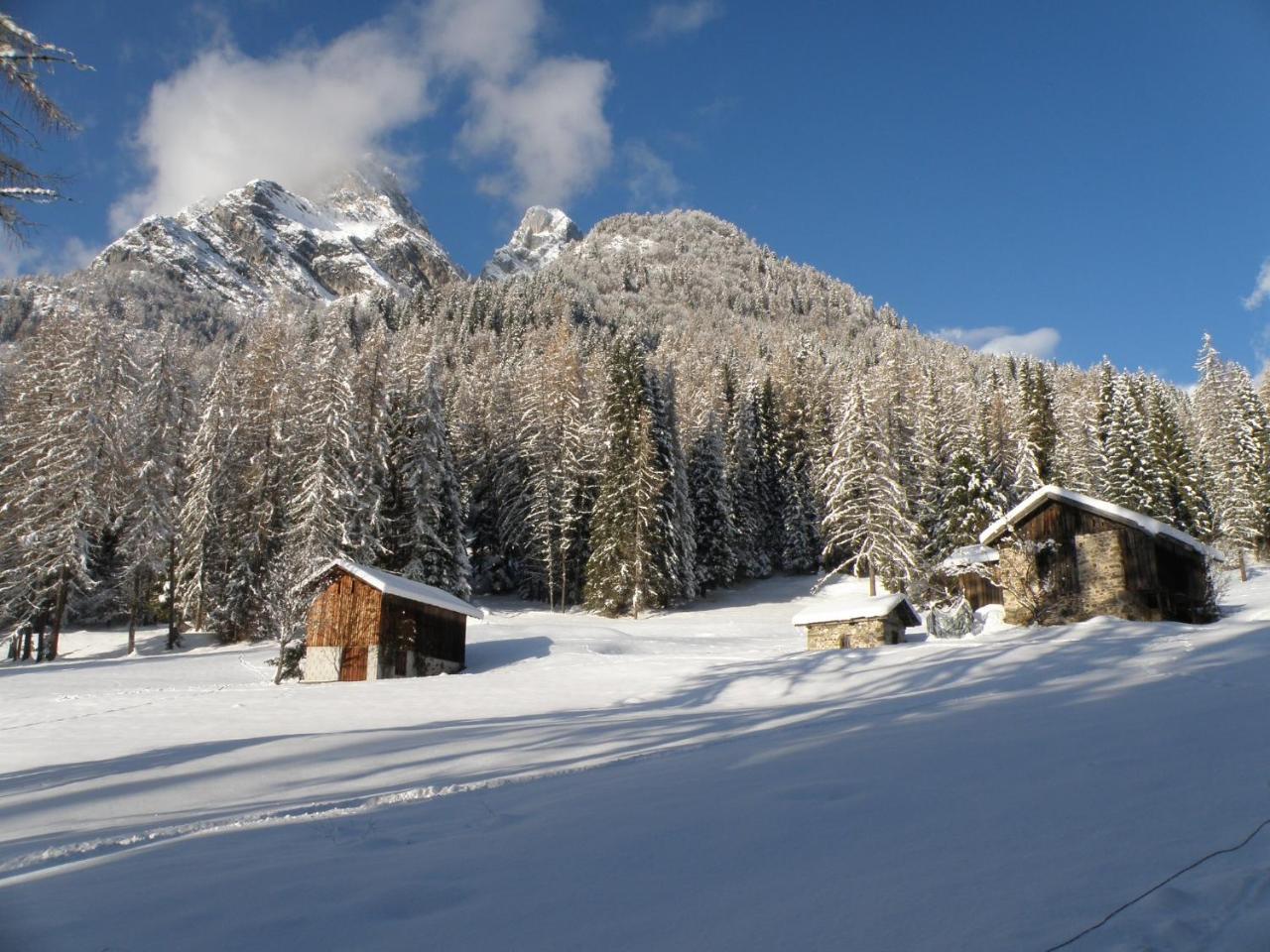 Camere Nordest Sudest- Conca Agordina Agordo Exterior photo
